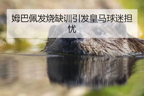 mu-ba-pei-fa-shao-que-xun-yin-fa-huang-ma-qiu-mi-dan-you-2-553.jpg